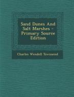 Sand Dunes and Salt Marshes di Charles Wendell Townsend edito da Nabu Press