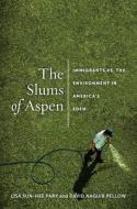 The Slums of Aspen di Lisa Sun-Hee Park, David N. Pellow edito da New York University Press