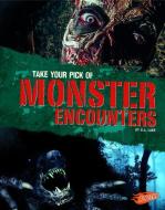 Take Your Pick of Monster Encounters di G. G. Lake edito da CAPSTONE PR