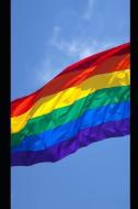 Maga!: Make America Gay Again! di Jay Wilson edito da LIGHTNING SOURCE INC
