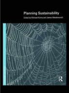 Planning Sustainability di Michael Kenny edito da Routledge