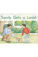 Rigby PM Stars: Leveled Reader Bookroom Package Yellow (Levels 6-8) Sandy Gets a Leash di Various, Reilly edito da Rigby