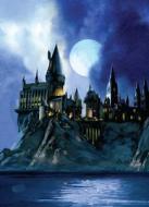 Harry Potter: Hogwarts Pop-up Card di Insight Editions edito da Insight Editions