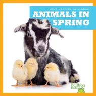 Animals in Spring di Jennifer Fretland VanVoorst edito da BULLFROG BOOKS