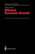Efficient Economic Growth di Stefan Homburg edito da Springer Berlin Heidelberg