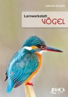 Lernwerkstatt Vögel di Gabriele Schickel edito da Buch Verlag Kempen