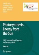 Photosynthesis. Energy from the Sun edito da Springer Netherlands