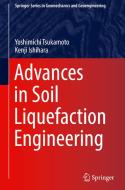 Advances in Soil Liquefaction Engineering di Yoshimichi Tsukamoto, Kenji Ishihara edito da SPRINGER NATURE