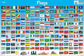 Flags di Collins Kids edito da Harpercollins Publishers
