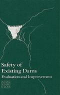 Safety Of Existing Dams di Committee on the Safety of Existing Dams, Water Science and Technology Board, Commission on Engineering and Technical Systems, Division on Engineering an edito da National Academies Press