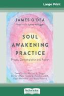 Soul Awakening Practice di James O'Dea edito da ReadHowYouWant