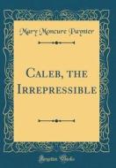 Caleb, the Irrepressible (Classic Reprint) di Mary Moncure Paynter edito da Forgotten Books