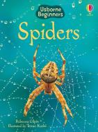 Spiders di Rebecca Gilpin edito da Usborne Publishing Ltd