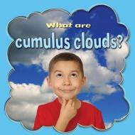 What Are Cumulus Clouds? di Lynn Peppas edito da CRABTREE PUB