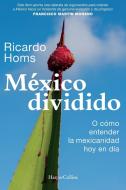 México Dividido di Ricardo Homs edito da GRUPO NELSON