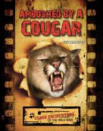 Ambushed by a Cougar di Sue L. Hamilton edito da ABDO & DAUGHTERS