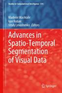 Advances In Spatio-temporal Segmentation Of Visual Data edito da Springer Nature Switzerland Ag