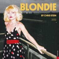 Blondie 2019 Square Wall Calendar di Chris Stein edito da Universe Publishing