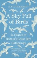 A Sky Full of Birds di Matt Merritt edito da Ebury Publishing