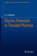Electric Potential in Toroidal Plasmas di A. V. Melnikov edito da Springer-Verlag GmbH