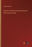Die Idee der Pflanzenmetamorphose bei Wolff und bei Goethe di Alfred Kirchhoff edito da Outlook Verlag