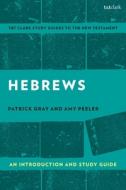 Hebrews: An Introduction and Study Guide di Amy L. B. Peeler, Patrick Gray edito da T & T CLARK US