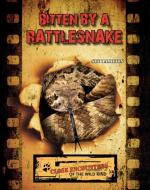 Bitten by a Rattlesnake di Sue L. Hamilton edito da ABDO & DAUGHTERS