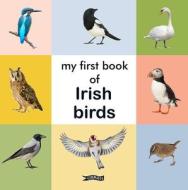My First Book of Irish Birds edito da O BRIEN PR