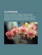 Clupeidae: Herring, Menhaden, Clupeidae, di Books Llc edito da Books LLC, Wiki Series