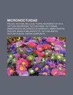 Micronoctuidae: Pollex, Tactusa, Belluli di Source Wikipedia edito da Books LLC, Wiki Series