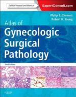 Atlas Of Gynecologic Surgical Pathology di Philip B. Clement, Robert H. Young edito da Elsevier Health Sciences