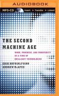 The Second Machine Age: Work, Progress, and Prosperity in a Time of Brilliant Technologies di Erik Brynjolfsson, Andrew McAfee edito da Brilliance Audio