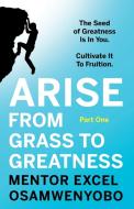 Arise From Grass To Greatness di Mentor Excel Osamwenyobo edito da Troubador Publishing