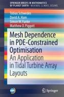 Mesh Dependence In Pde-constrained Optimisation di Tobias Schwedes, David A. Ham, Simon W. Funke, Matthew D. Piggott edito da Springer International Publishing Ag