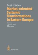 Market-oriented Systemic Transformations in Eastern Europe di Paul J. J. Welfens edito da Springer Berlin Heidelberg