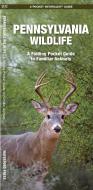 Pennsylvania Wildlife: A Folding Pocket Guide to Familiar Species di James Kavanagh, Waterford Press edito da Waterford Press