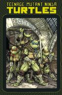 Teenage Mutant Ninja Turtles di Paul Allor, Kevin Eastman, Ian Flynn edito da Idea & Design Works