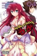 High School DxD, Vol. 4 di Ichiei Ishibumi edito da Little, Brown & Company