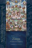 Zhije: The Pacification of Suffering di Jamgon Kongtrul Lodro Taye, Sarah Harding edito da Shambhala Publications Inc