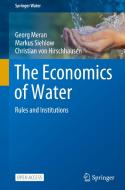 The Economics Of Water di Georg Meran, Markus Siehlow, Christian von Hirschhausen edito da Springer Nature Switzerland Ag