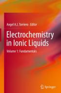 Electrochemistry In Ionic Liquids edito da Springer International Publishing Ag