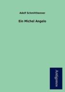 Ein Michel Angelo di Adolf Schmitthenner edito da Antigonos