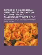 Report On The Geological Survey Of The State Of Iowa di Iowa Geological Survey edito da General Books Llc