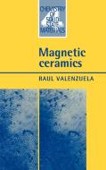 Magnetic Ceramics di Raul Valenzuela, Valenzuela Raul edito da Cambridge University Press
