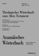Aramäisches Wörterbuch edito da Kohlhammer W.