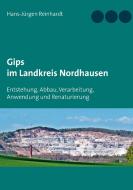 Gips im Landkreis Nordhausen di Hans-Jürgen Reinhardt edito da Books on Demand