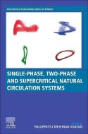 Single-phase, Two-phase and Supercritical Natural Circulation Systems di Pallippattu Krishnan Vijayan, Arun K. Nayak, Naveen Kumar edito da Elsevier Science & Technology