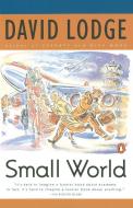 Small World di David Lodge edito da PENGUIN GROUP