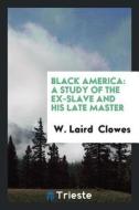 Black America: A Study of the Ex-Slave and His Late Master di W. Laird Clowes edito da LIGHTNING SOURCE INC