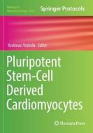 Pluripotent Stem-Cell Derived Cardiomyocytes edito da Springer-Verlag New York Inc.